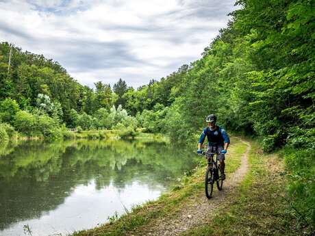 Descente de la Menoge en VTT  + location VTT
