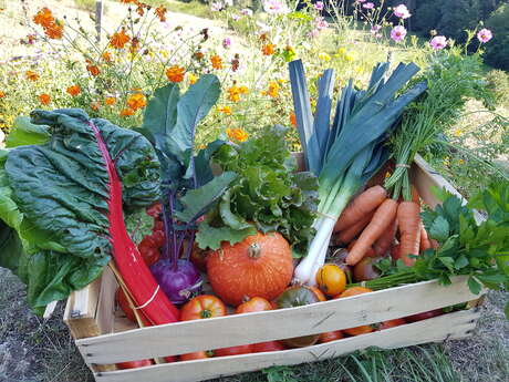 Et si les légumes vous étaient contés ?