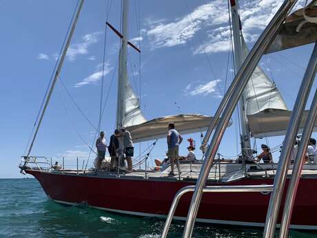 Gita di un giorno in barca a vela