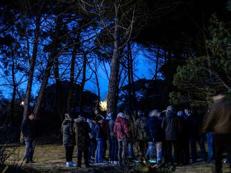 Night-time safari – Outing with the eco-guards