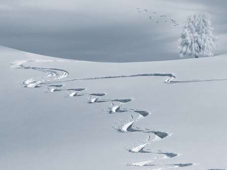 Leçons privées Ski / Hors pistes avec l'école de ski Adrenaline