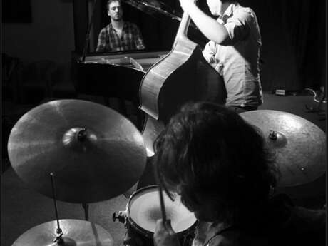 Fabrice Tarel Trio invite Tom Hollendorf - Concert