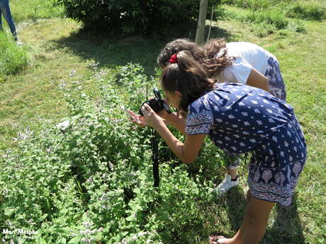 Initiation à la photo macro au Jardin Extraordinaire