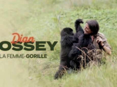 Película | Debate - Dian Fossey, la mujer gorila