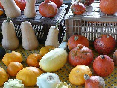 Marché Provençal