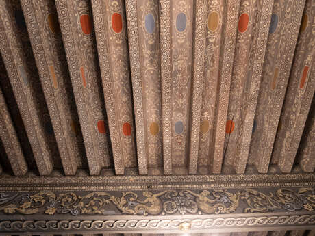 Visite thématique - Une visite qui crève le plafond