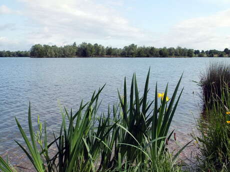 Etang de Pontremble