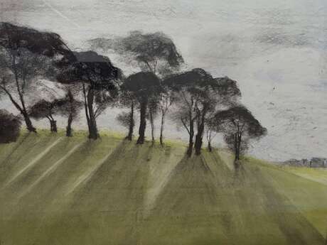 Trees in the landscape' exhibition at Ferme des Arts
