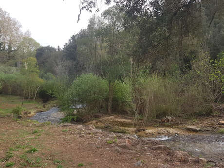 Berges de la Source de l'Argens
