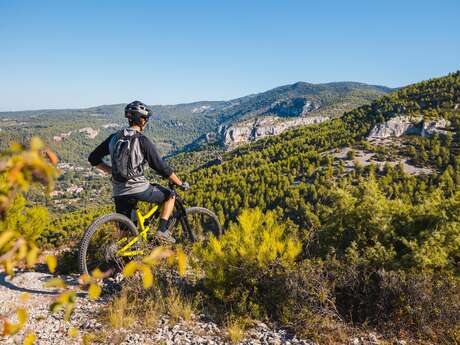 VTT n°41 - Tête du Soldat