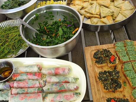 Journée découverte et utilisation des plantes sauvages comestibles et médicinales