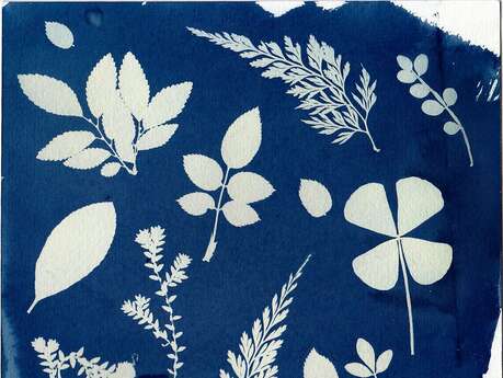 Les ateliers de l’été avec La Mounière : Créations solaires, atelier cyanotype en famille