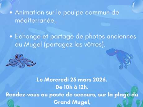 Schatzsuche nach dem Gewöhnlichen Kraken im Mittelmeer