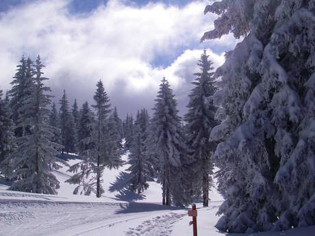 La Petite Forêt sneeuwschoen route