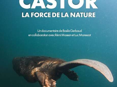 Soirée naturaliste de la Cistude