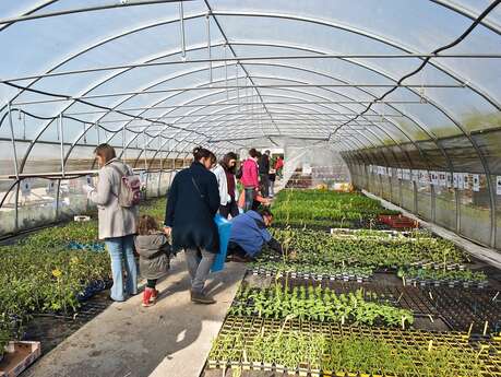 Vente annuelle de plants bio