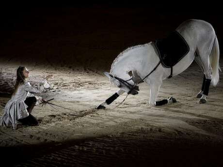 Spectacle 2026 du Cabaret Équestre des Mylords/"Les 4 Saisons des Chevaux"/