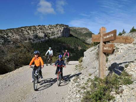 Col de la Croix à VTT (N°4)