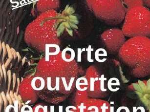 Ramène ta fraise