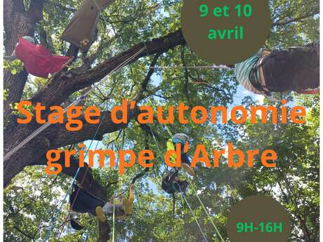 Stage d'autonomie grimpe d'arbre