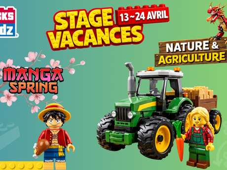 STAGE VACANCES LEGO®