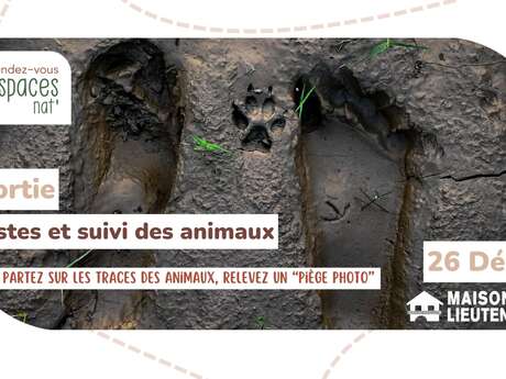 Sortie : "Pistes et suivi des animaux"
