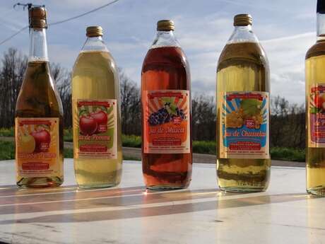 Saveurs et Coccinelles