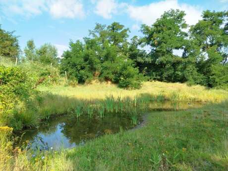 Chantier nature - écopôle du Val d’Allier