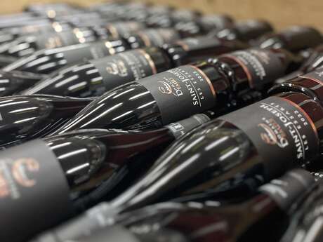 Visite et dégustations vins