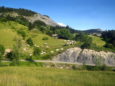 Les Campagnes d'Auzet