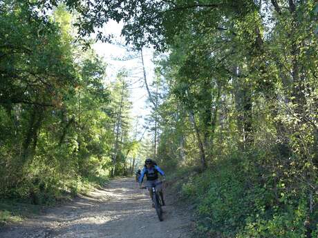 Site VTT FFC - Provence Verdon - Circuit 23 - Rouge