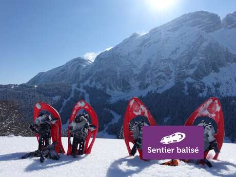 La Pellaz - Randonnée hivernale