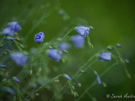 Stage Photo - Les bases de la photographie