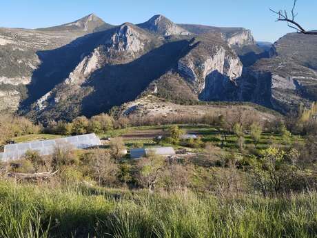 Clos de la Bécassière