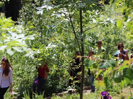 Chartreuse educational garden of culinary and medicinal plants