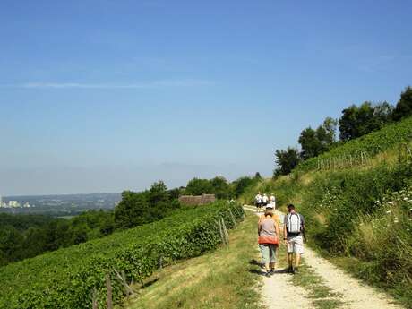 Balade gourmande : la Vigneronne - édition 2026