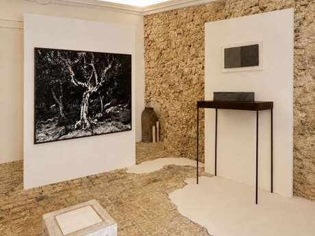 Exhibition Pier Paolo Calzolari & Pierre Thoretton
