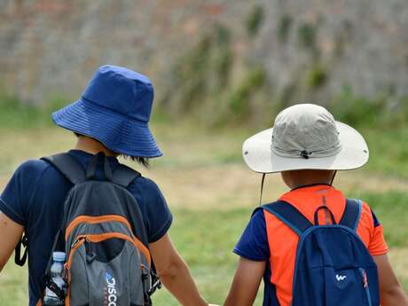Rando pédestre et VTT - La ronde des étangs