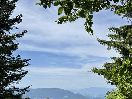 Sentier de randonnée - Les balcons de Fillinges