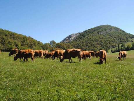 Ferme Barané