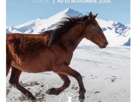 Les Éphémères : Les ailes des Kirghizes