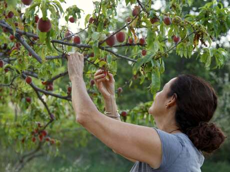 Sortie buissonnière " Les femmes en agriculture "