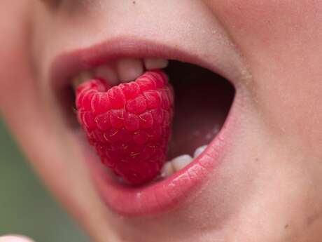 Atelier ALTEC (6-8 ans) - Laboratoire d'analyse sensorielle