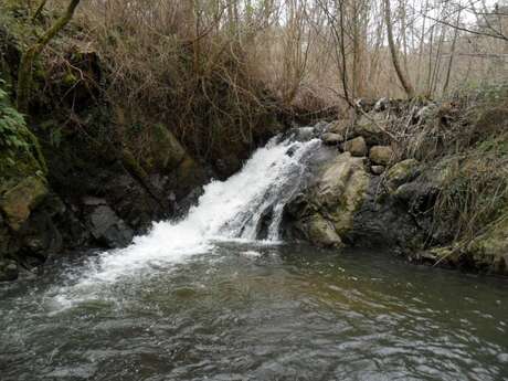 Pêche dans la rivière Batalon