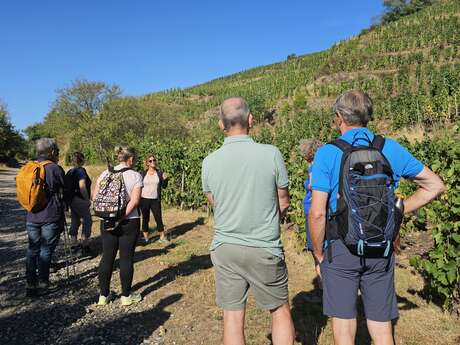 Rando Wine au Domaine François Grenier