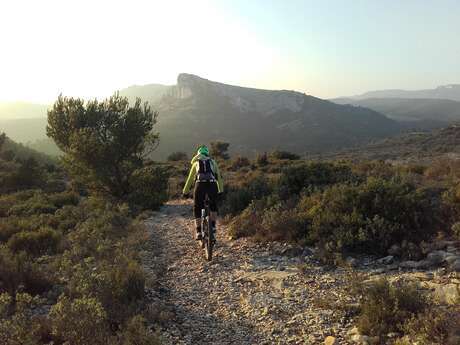 MTB no.37 - Craux du Petit Luberon