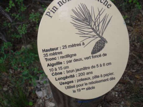 Sentier botanique - Les Frégourières