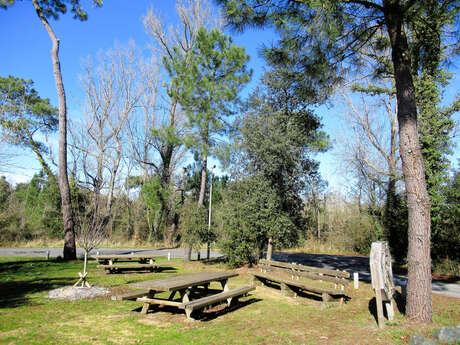 Bragauds Rivedoux picnic area
