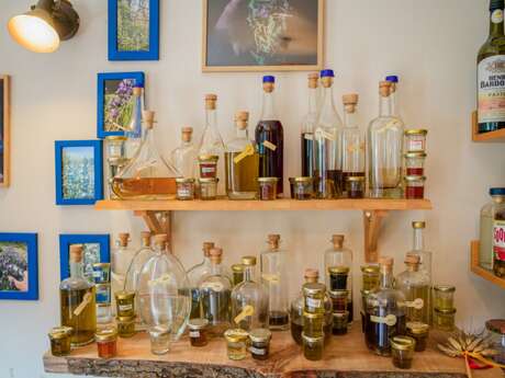 Pastis Tour
