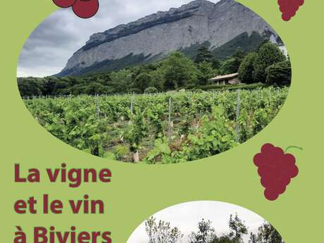 La vigne et le vin à Biviers